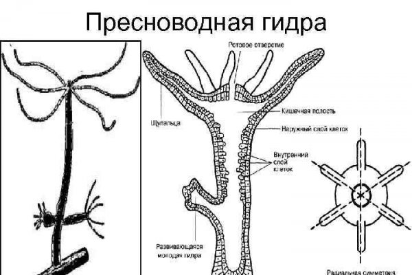 Mega darknet как зайти